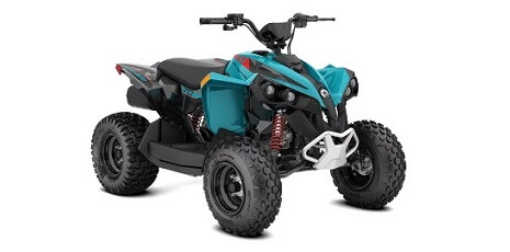 ATV-uri pentru copii Can-Am Renegade 2024